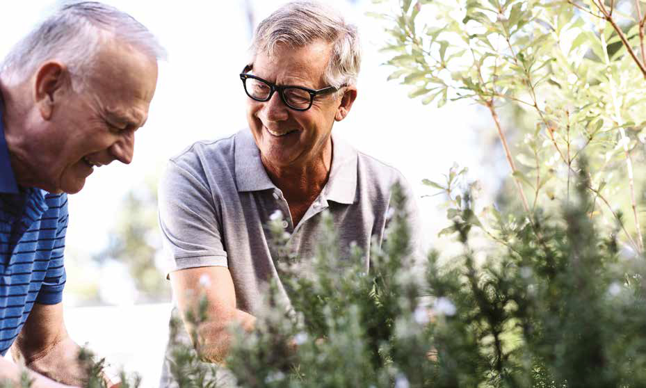 A schedule for seniors wanting a vibrant retirement